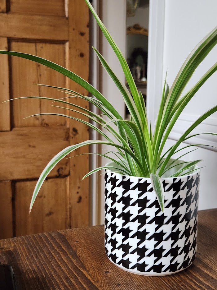 'Houndstooth Noir' Storage Jar