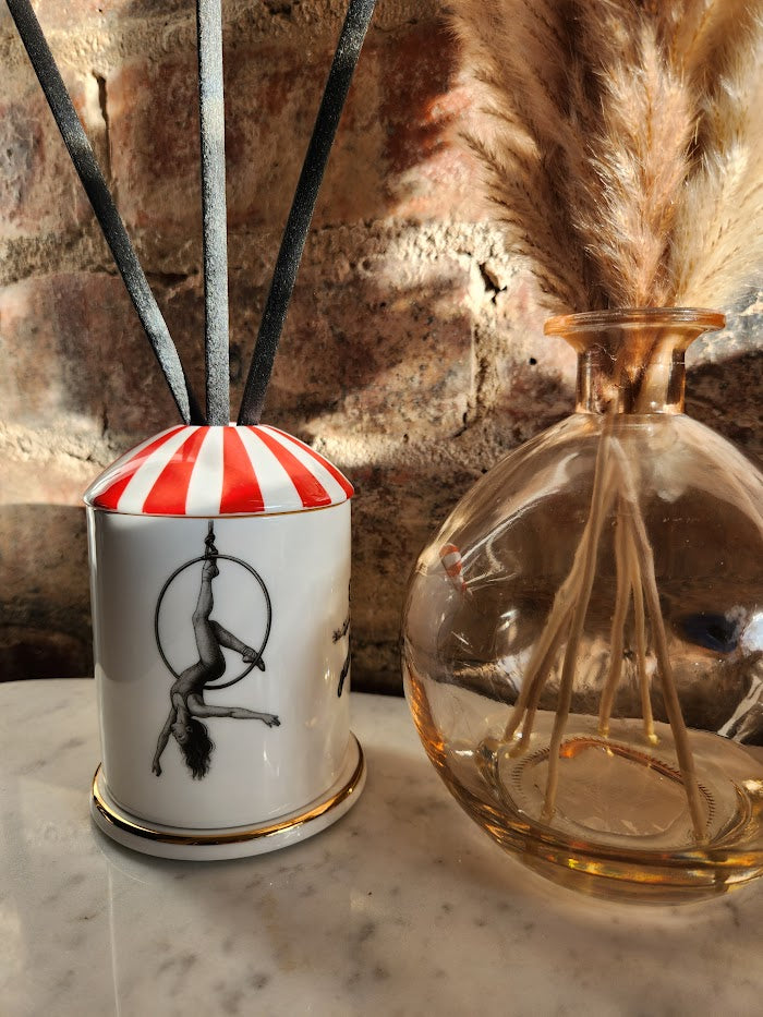 'Acrobatics Under the Big Top' Diffuser